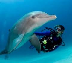 Nassau Scuba Dive