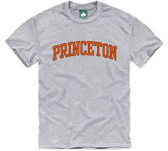 Princeton Classic T Shirt Heather Grey Ivysport