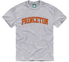 princeton classic t shirt heather grey ivysport