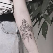 Alibaba.com supplies plant tattoos of aesthetic designs to match your personality. What Does Plant Tattoo Mean Represent Symbolism