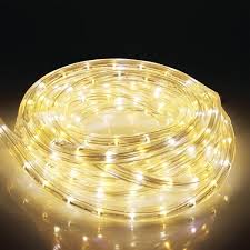 Patriot Lighting 16 Plug In Led Rope Light At Menards