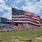 Field of Flags