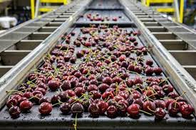 Industria Alimentare In Italia Nel 2019 Fatturato E Crescita Gambero Rosso