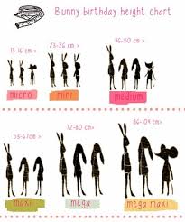 Maileg Dk Size Chart For Bunnies And Mice Maileg Maileg