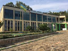 Image result for Cyphostemma ukerewense