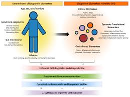 Emerging Biomarkers and Determinants of Lipoprotein Profiles to Predict CVD  Risk: Implications for Precision Nutrition