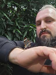 Photographing butterflies up close