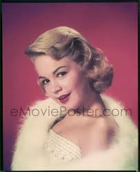 Color restoration of vintage Sandra photos needed