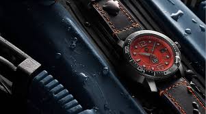 Image result for diving watch