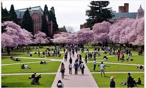 Khi siêu âm, hình ảnh ngôi thai ngang ở một số trẻ sơ sinh có thể không vì một lý do cụ thể nào cả. Hay SÆ°u Táº§m áº£nh Vá» Ngoi TrÆ°á»ng MÆ¡ Æ°á»c Va Ká» Vá» Ngoi TrÆ°á»ng Ä'o Tiáº¿ng Anh Lá»p 6 Bai Táº­p Tiáº¿ng Anh Lá»p 6 Giáº£i Bai Táº­p Tiáº¿ng