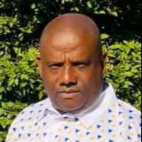 20+ "Pete Hammond" profiles