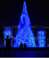 The vatican christmas tree, also called the saint peter's square christmas tree, is the decorated tree that is erected annually in the saint peter's square directly in front of st. Christmas Light Of The World Pellegrino Ritter