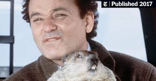 I would say i've had more downs then ups, and it definitely has been a rocky road, but i am a fighter and i won't give up no ma. Going Back To Groundhog Day Again The New York Times