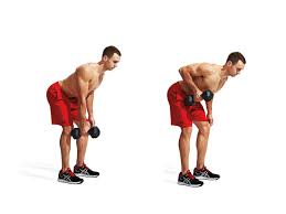 Bildergebnis fÃ¼r bent over rows dumbbell one arm