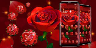 Download keemasan mawar tema apk 1.1.5 for android. Tema Bunga Mawar Merah Mawar For Android Apk Download