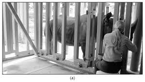 The estimated salary for a benefits coordinator is $44,454 per year in bethlehem, pa. Animals Free Full Text Practical Management Of Iron Overload Disorder Iod In Black Rhinoceros Br Diceros Bicornis Html