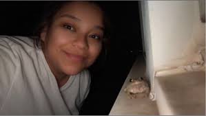 What's that noise? Western tiger listens to frog calls