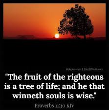 Proverbs 11 30 Kjv Bible Proverbs Proverbs Kjv Scripture Verses