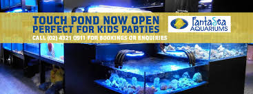 The first is a swim tank that focuses on fish. Aquarium Shop Supplies Store Fantasea Aquariums