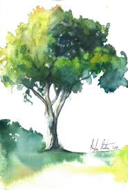 Mango Tree By Hayley Rutger Watercolor Trees Tree Sketches Mango Tree