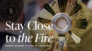 What is Eucharistic Adoration?