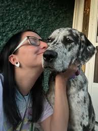 About — Comb & Collar Grooming