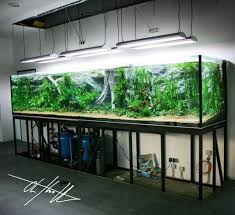 Amazing Aquascape Freshwater Gallery Ideas 92 Aquarium Aquascape Saltwater Aquarium Setup