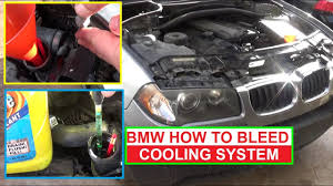 View and download bmw x3 2005 owner's manual online. 2004 Bmw X3 Cooling System Diagram Thxsiempre