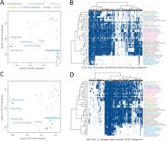 The Transcriptome Of Paraphelidium Tribonemae Illuminates The Ancestry Of Fungi And Opisthosporidia Biorxiv