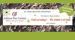 Thank you mcduffie pest control for helping us keep our home pest free for years! Alldone Pest Control Home Facebook