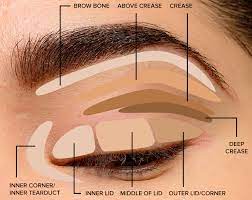 Hold your brush to the outer corner of your eye to check if you've applied the correct amount of eyeshadow. How To Apply Eyeshadow A Beginners Guide Healthy Passenger