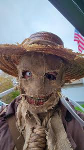 Scarecrow Costume From Last Halloween : r/batman