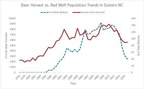 red wolf graph related keywords suggestions red wolf