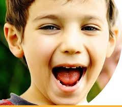 2023 CSHA Convergence Program Guide #Convergence23