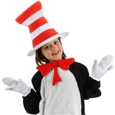 cat in the hat child accessory kit