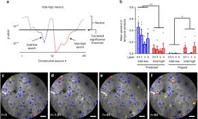 Each smoke and carbon monoxide detector that enters consumer reports' labs is rigorously tested to make sure it keeps you and your family safe. Asynchronous Suppression Of Visual Cortex During Absence Seizures In Stargazer Mice Nature Communications
