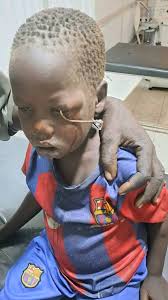 Helping animals and our community