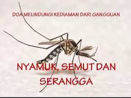 Ia melindungi malam dengan siang yang mengiringinya dengan deras. Doa Menghalau Nyamuk Semut Serangga Dari Rumah Dua To Drive Away Mosquito Ants Insects Youtube