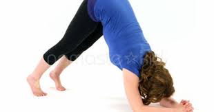 Dolphin Pose Kids Yoga Poses Yoga For Classrooms Namaste Kid Kids Yoga Poses Yoga For Kids Yoga Poses