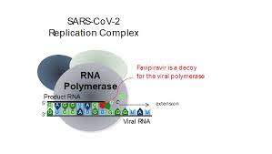 2019 novel coronavirus, wuhan seafood market pneumonia virus) — оболочечный одноцепочный. Combating Sars Cov 2 By Induced Error Catastrophy Universitat Hamburg