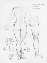 Discover more posts about muscle reference. 78 Draw Hips Pelvis Thighs Ideas Anatomy Drawing Anatomy Reference Drawings