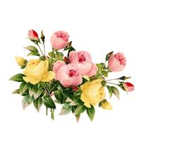 Bunga png you can download 62 free bunga png images. Tren 25 Gambar Png Bunga