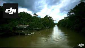 Rainforest tribes,facts about amazon,amazon animals,amazon indigenous,tribe women,amazon deforestation,rainforest people ,amazon river,forest,rainforest brazil,brazilian. Dji The Life Of Amazon Rain Forest Youtube