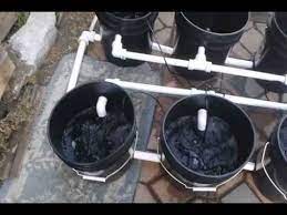 Usa Cannabis Corp Prototype Recirculating Dwc Hydroponic System Youtube