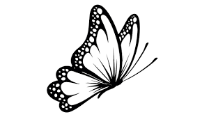 All you need is old newspapers and wires. Butterfly Side Angle Art Youtube