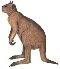 Haiwan yang hidup pada zaman air batu(18000 tahun yang lalu) sudah pupus gajah mamot harimau bertaring lengkung belum pupus bison sloth. Haiwan Zaman Air Batu 2 1 Zaman Air Batu Dan Zaman Prasejarah Berlaku Pergerakan Glasier Yang Pertama Sehingga Menyebabkan Wujudnya Daratan Dan Lautan Fredollun