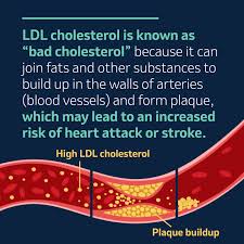Image result for LDL Cholesterol