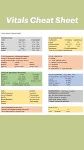 Freedom Mead (freedommead1)