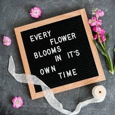 Little Wild Bloom Styled Brand Images Elena Sloup Photography Quotes About Flowers Blooming Flower Quotes Bloom Quotes