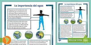 Queremos ser tu empresa de agua. Ficha De Informacion La Importancia Del Agua